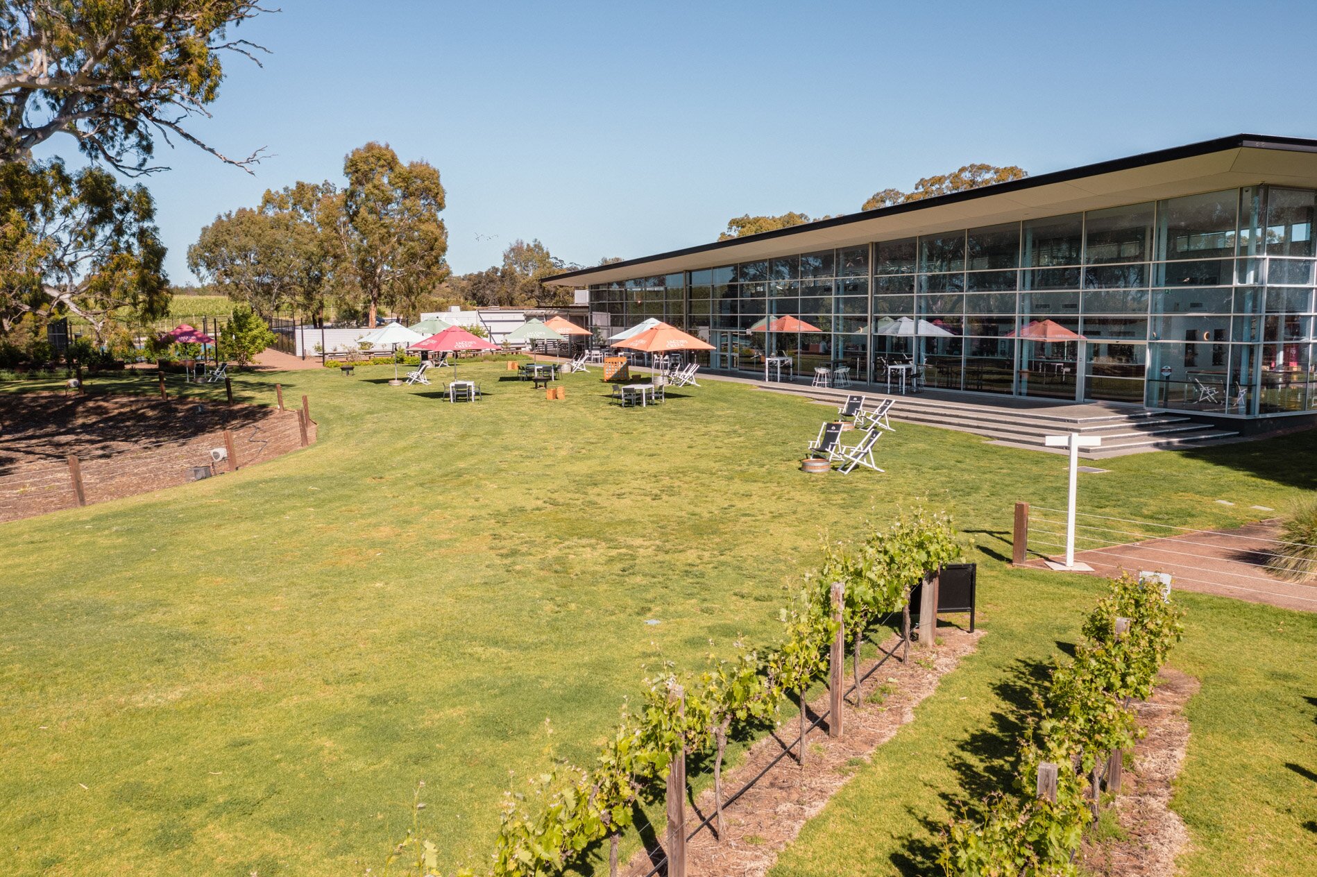 Jacobs creek clearance winery