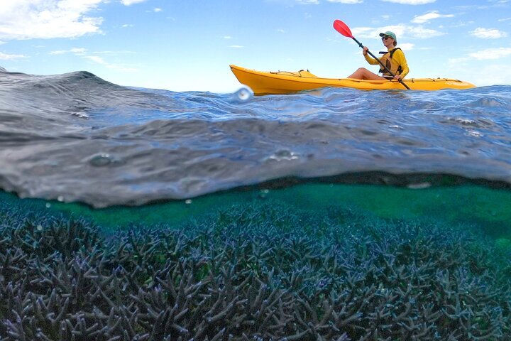 Tripadvisor | Coral By Kayak - Ningaloo Reef Halve Dag Kajak- En ...