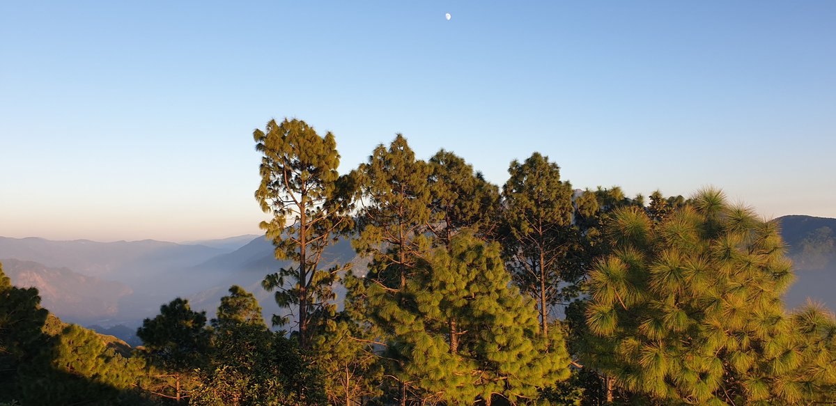 THE PAHADI ORGANIC (Almora, Uttarakhand) - Lodge Reviews, Photos, Rate ...