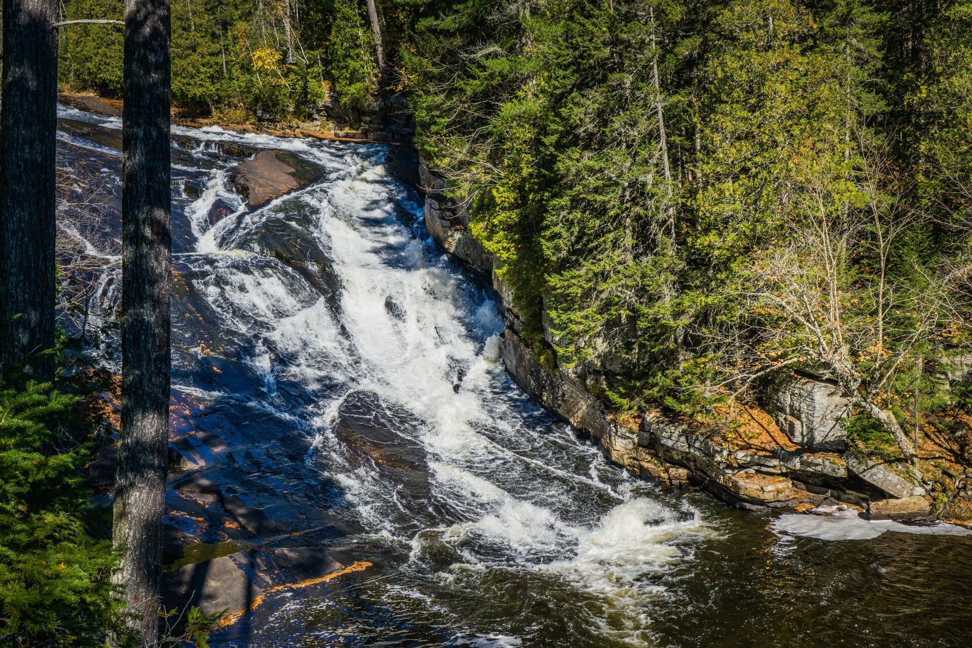 5 Mandeville 2024 Tripadvisor   Parc Regional Chute Du 