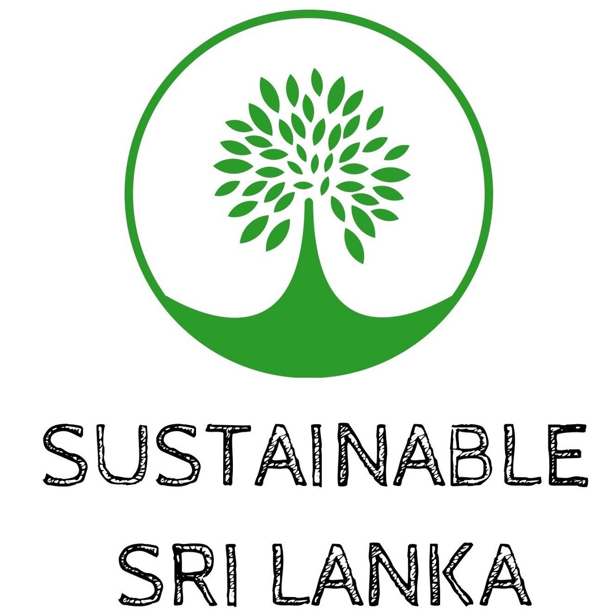 Sustainable Sri Lanka (2024) All You Need To Know Before You Go (with 