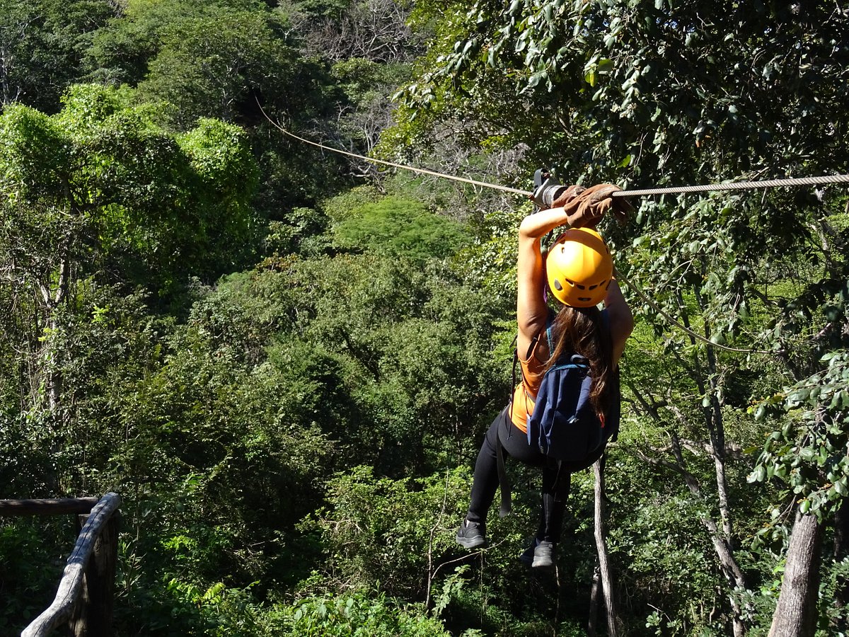 monkey jungle zip line canopy tour cost