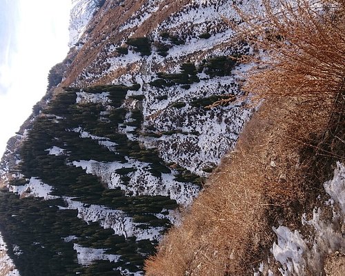 Японская дорога алматы. Старая японская дорога Алматы.