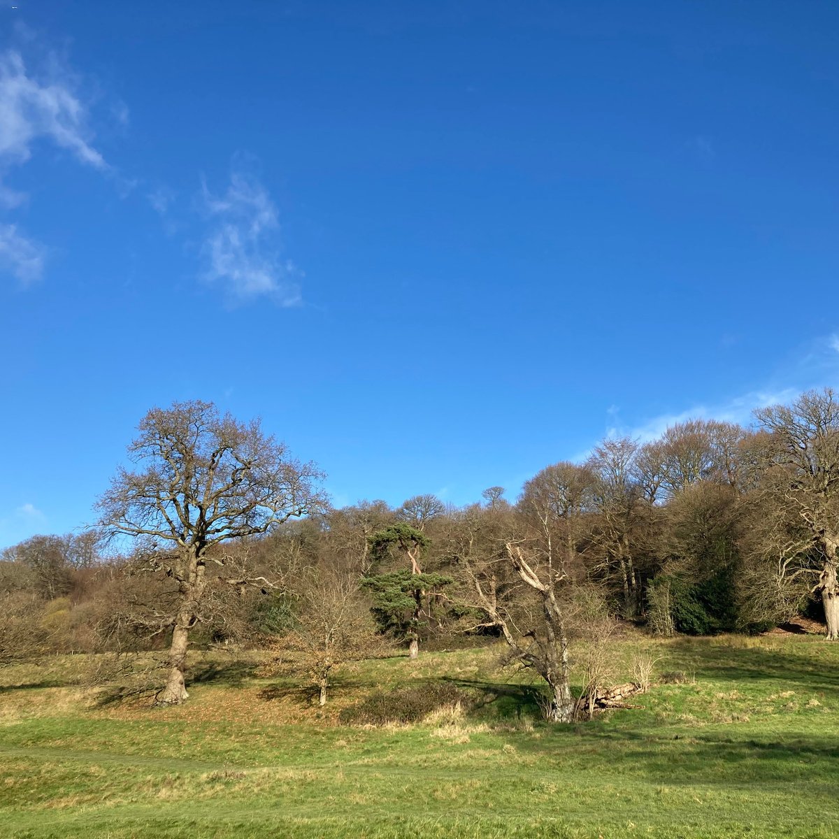 Chartwell Estate Walks (Westerham) - All You Need to Know BEFORE You Go