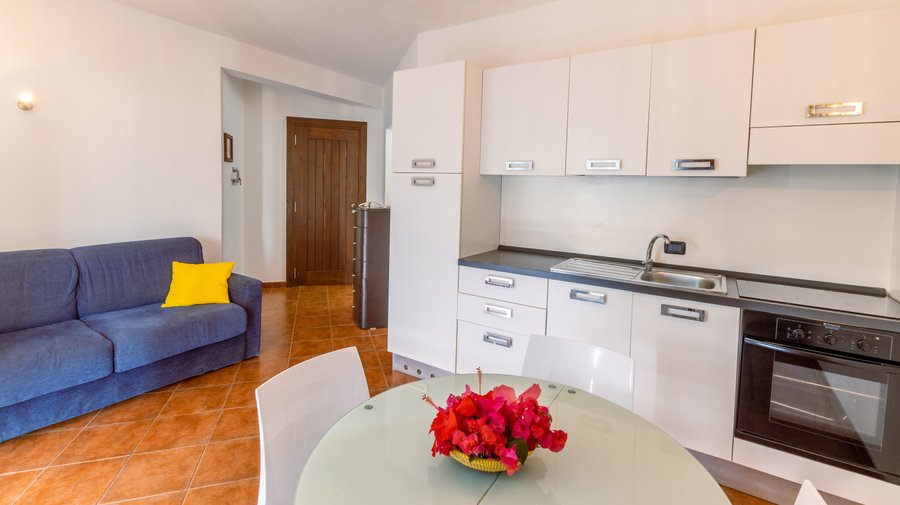 One-Bedroom Apartment living room and kitchen area 