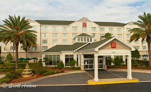 Hilton Garden Inn Daytona Beach-Airport in Daytona Beach, image may contain: Hotel, Resort, Neighborhood, Tree