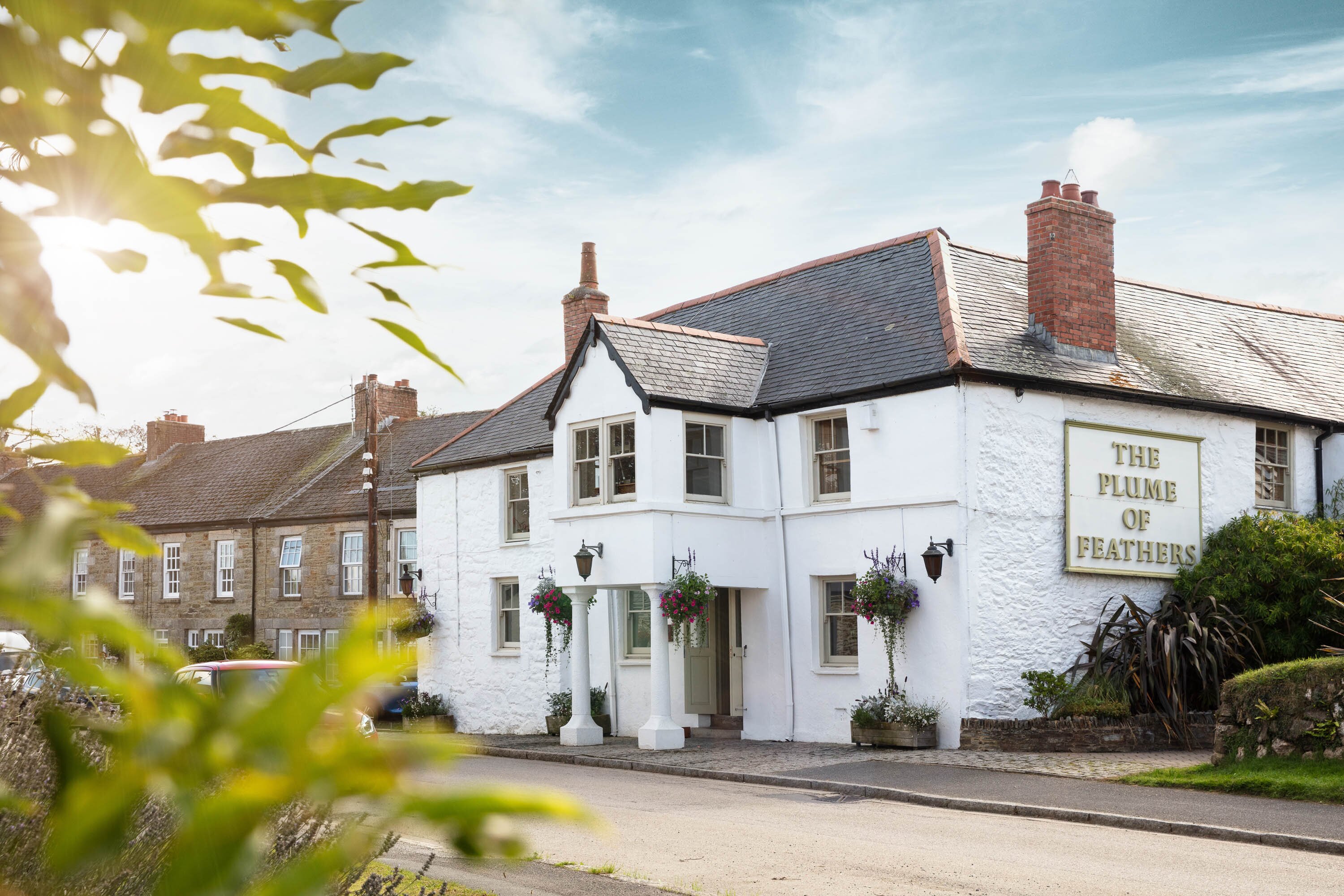 Plume and feathers discount