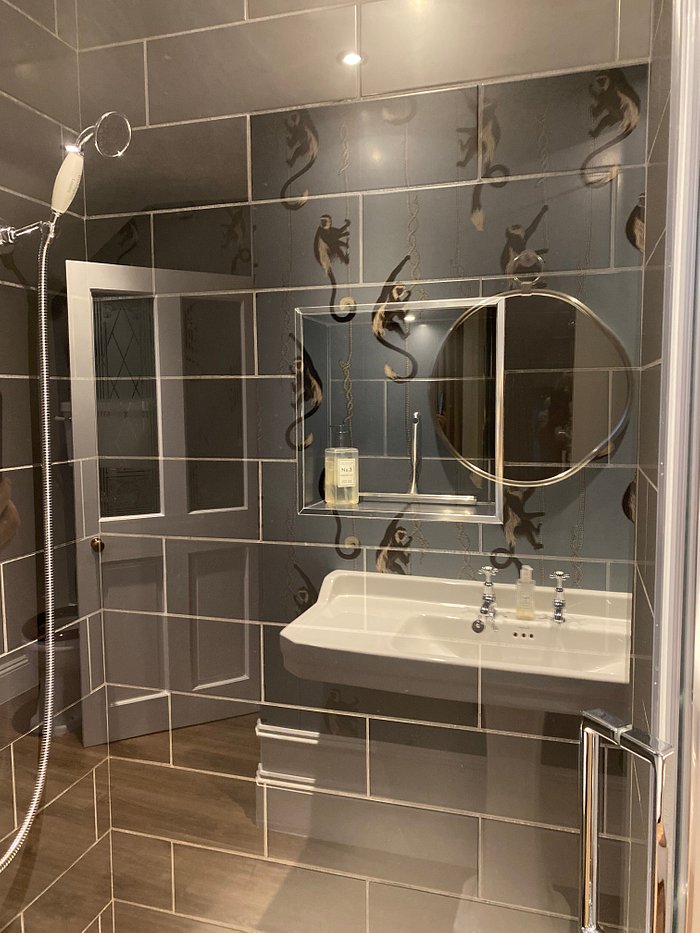 mirror images in Blue monkey bathroom suite