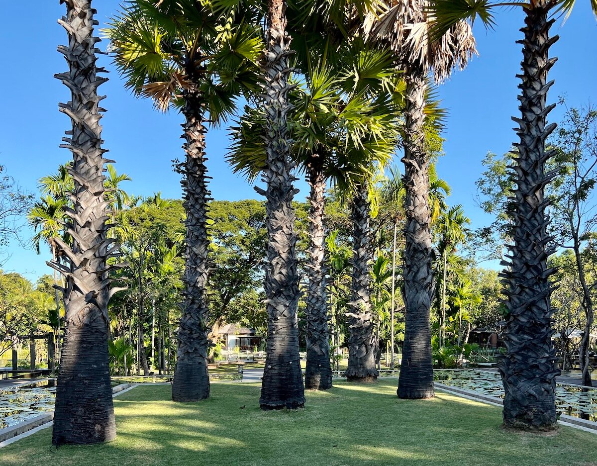Hotel photo 8 of Pattara Resort & Spa.
