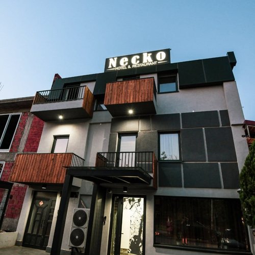 Hotel Necko image