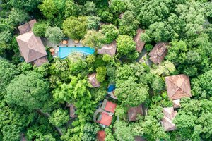 Bodhi Tree Yoga Resort in Nosara, image may contain: Vegetation, Woodland, Land, Tree