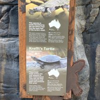 AUSTRALIA ZOO (Beerwah) - All You Need to Know BEFORE You Go