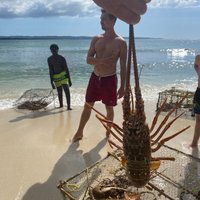 Negril Lobster Picnic on a Private Island & Snorkelling Trip To Sunken ...