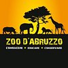 Zoo D'abruzzo