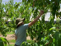 Appleshack at Glenbernie Orchard - All You Need to Know BEFORE You Go ...