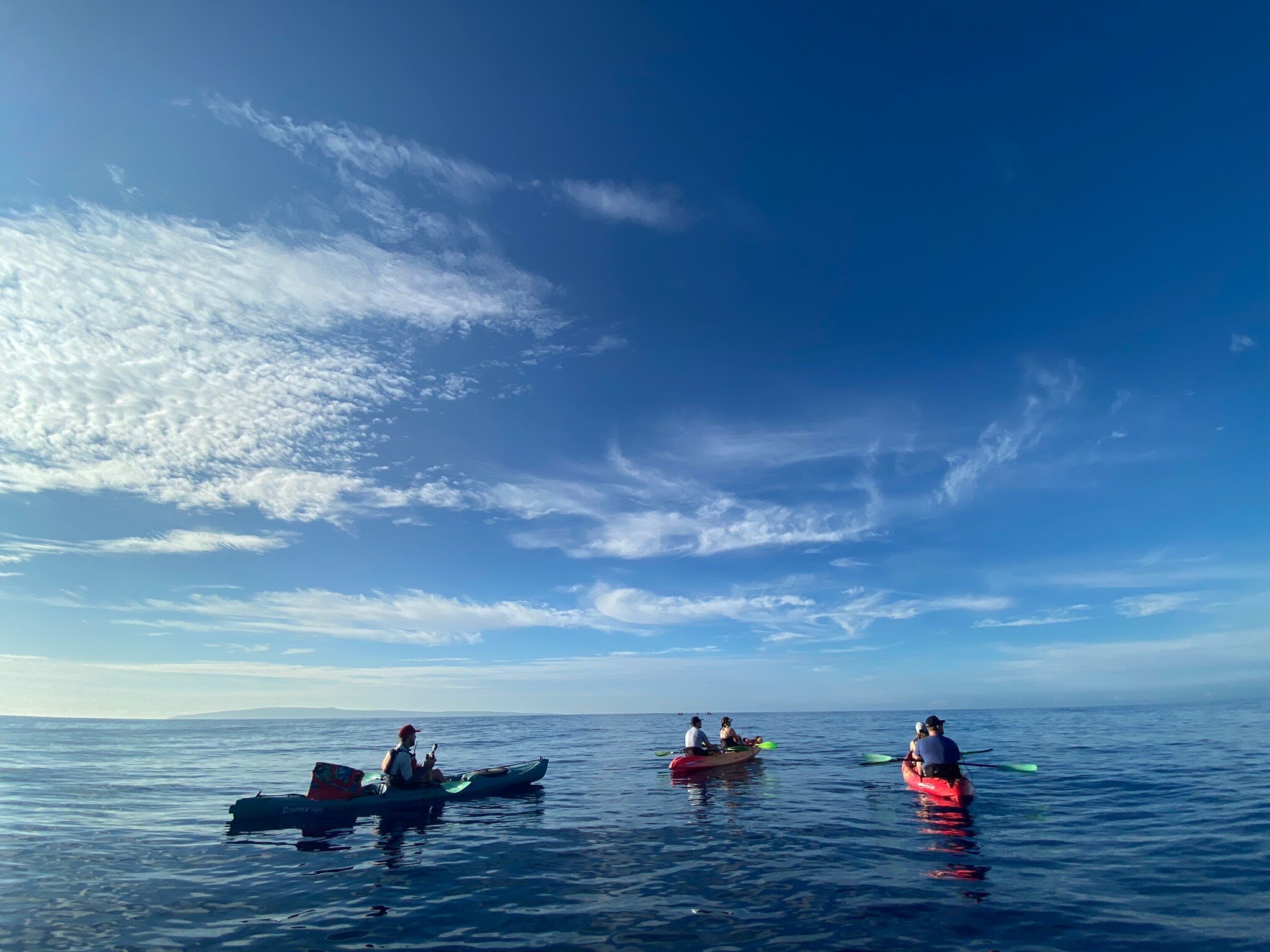 Maui Kayak Adventures - All You Need to Know BEFORE You Go (2024)