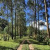 Finca_Ceriana