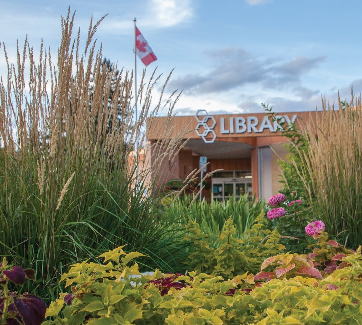 medicine-hat-public-library-2023-qu-saber-antes-de-ir-lo-m-s