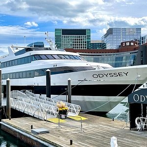 odyssey lunch cruise boston