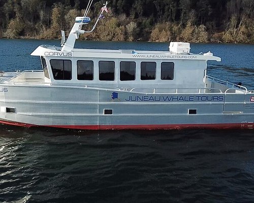 best alaska cruise excursions 2023