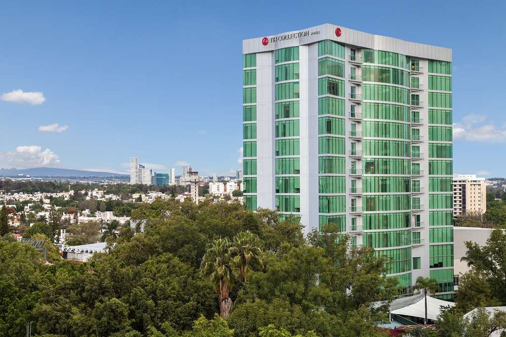 Hotel photo 9 of NH Collection Guadalajara Providencia.