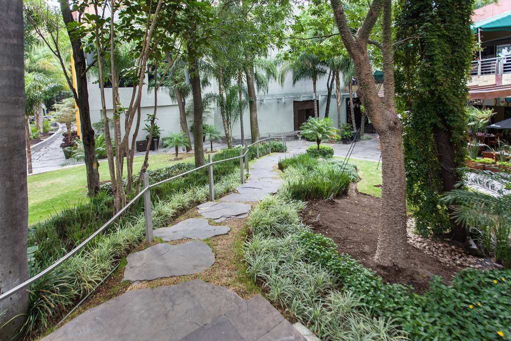 Hotel photo 25 of NH Collection Guadalajara Providencia.
