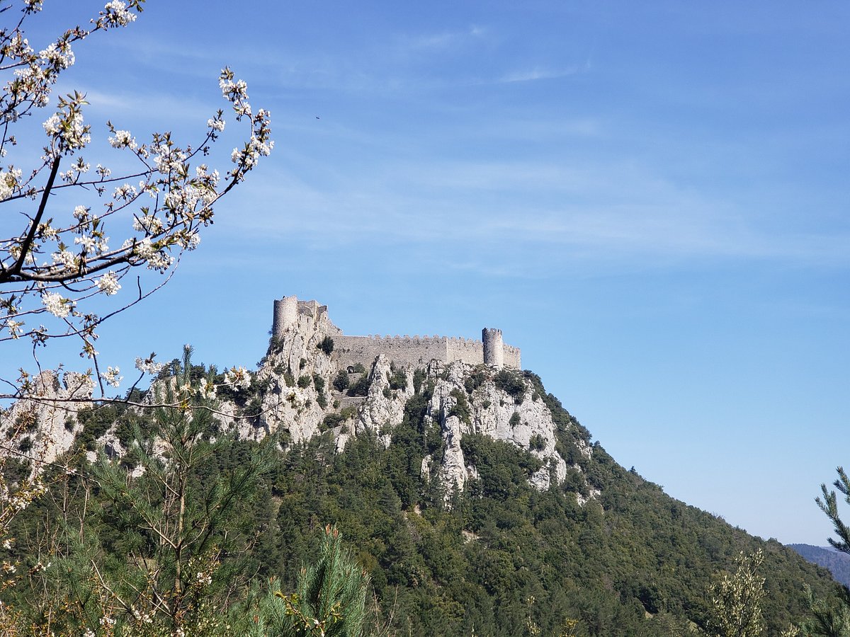 Trees and Rocks in the Park of the Chateau Noir