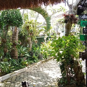 COME AS A GUESTS STAY LIKE LOCALS LEAVE AS A FRIEND 