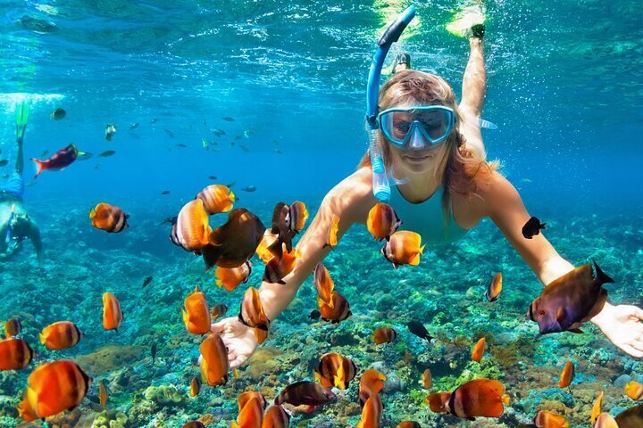 2023 Puerto Morelos Reef Snorkeling Adventure