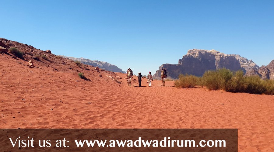 Desert
