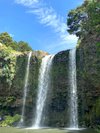 Whangarei Falls: All You Need to Know BEFORE You Go (with Photos)