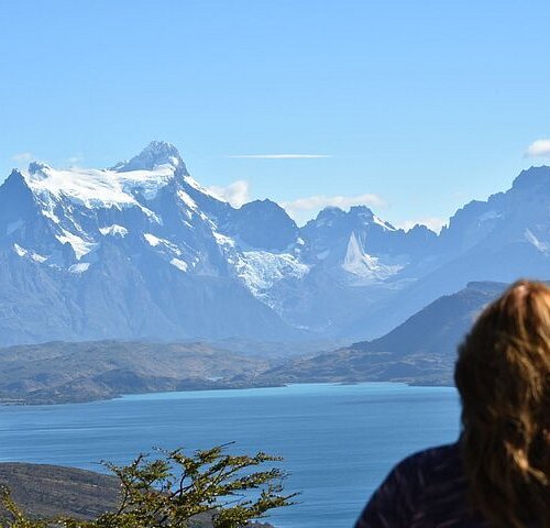 tours from punta arenas