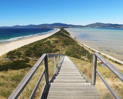 bruny island tours reviews