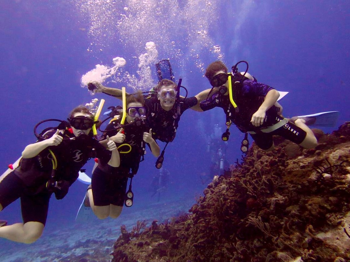 Scuba Du (Cozumel) - All You Need to Know BEFORE You Go