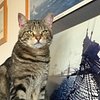 SusanBinkie
