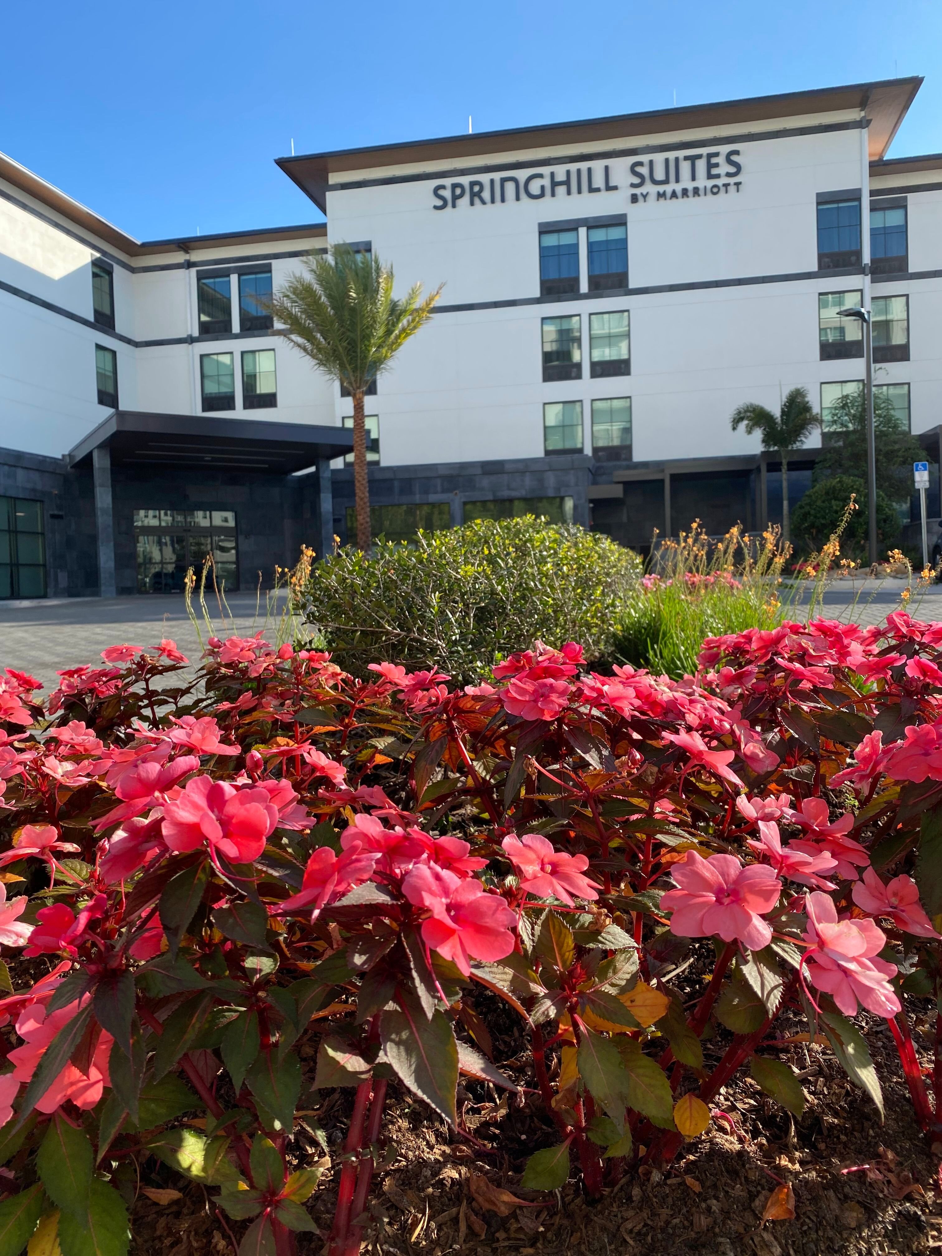 SPRINGHILL SUITES BY MARRIOTT WINTER PARK Prezzi E Recensioni 2024   Springhill Suites By 