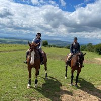 COTSWOLDS RIDING (Stanton) - All You Need to Know BEFORE You Go