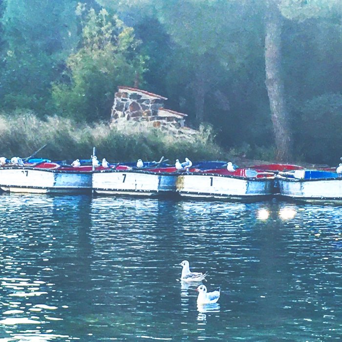 Imagen 10 de Parc Catalunya