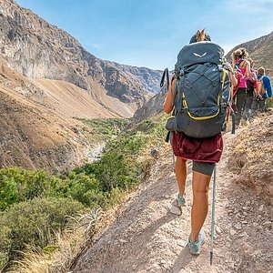 LAS 10 MEJORES cosas que hacer en Cañón del Colca 2022 - Tripadvisor -  Lugares para visitar en Cañón del Colca