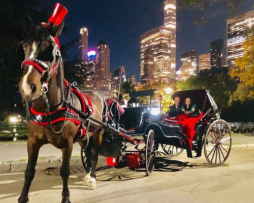 Tours en carruajes tirados por caballos en Nueva York: Consulta 5 Tours en  carruajes tirados por caballos en Nueva York - Tripadvisor
