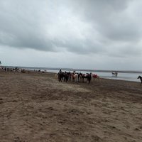 Jampore Beach (Daman) - All You Need to Know BEFORE You Go