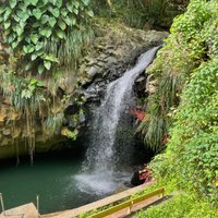 Annandale Falls (St. George's) - All You Need to Know BEFORE You Go