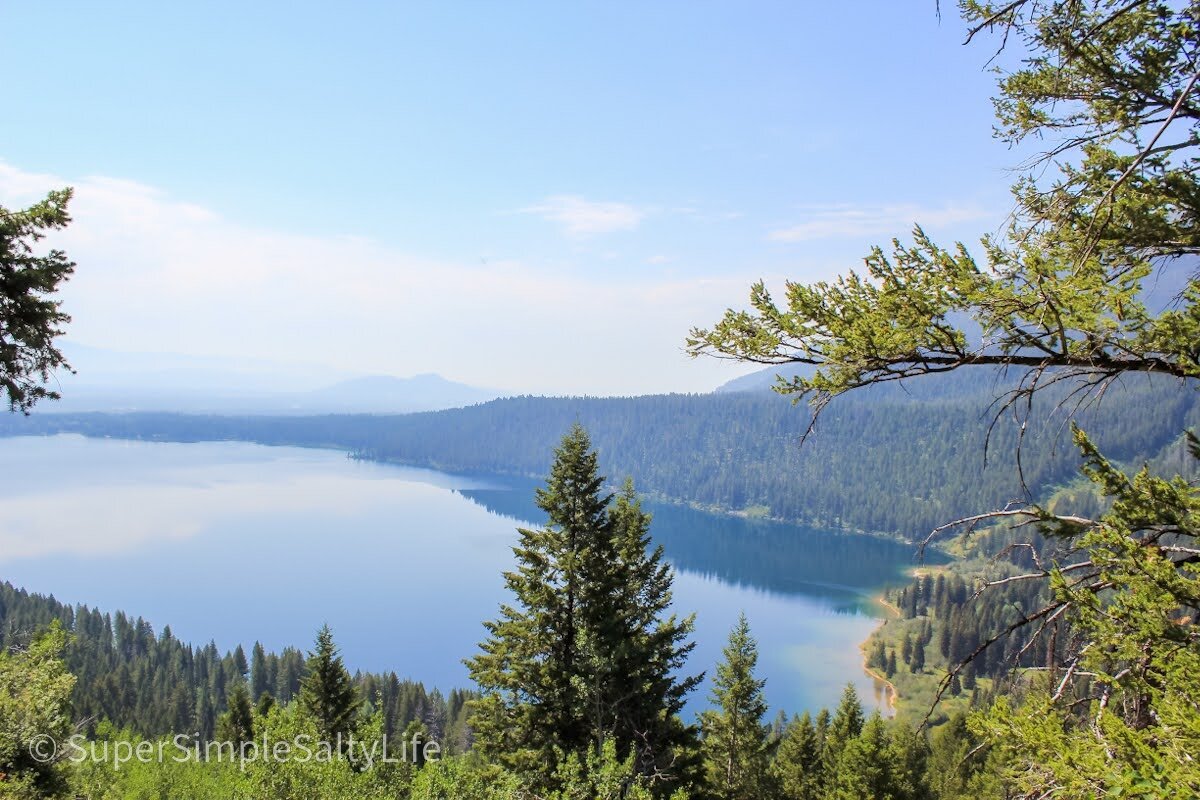 Phelps Lake Trail (Grand Teton National Park) - All You Need to Know ...