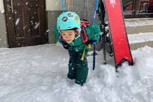 旅行者の写真