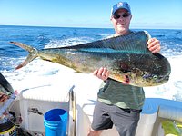 Dorado Everywhere, Summer Species Linger - Master Baiter's Sport Fishing &  Tackle Puerto Vallarta