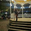 María F
