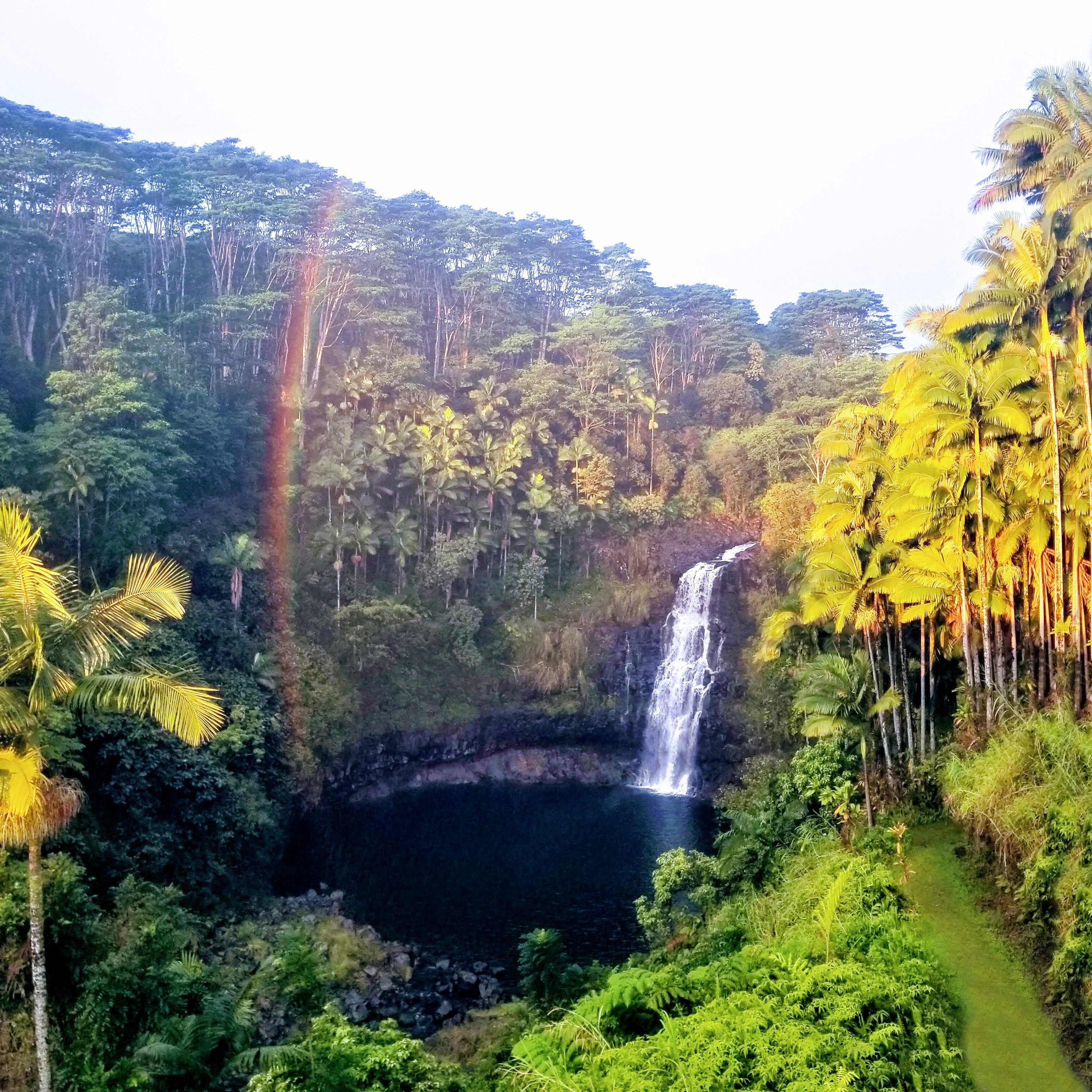 KULANIAPIA FALLS (Hilo) - 2022 Qué Saber Antes De Ir - Lo Más Comentado ...