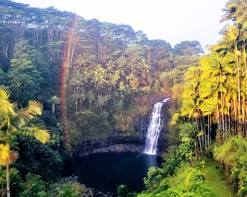 Hilo, HI 2024: Best Places to Visit - Tripadvisor