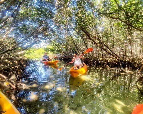 jet ski tours sarasota