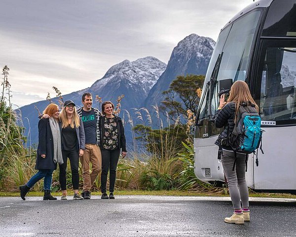 small group tour queenstown to milford sound